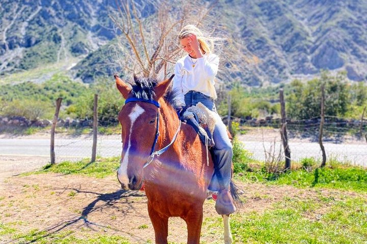 Cajon del Maipo/Embalse del Yeso, Tradition Folk Picnic included