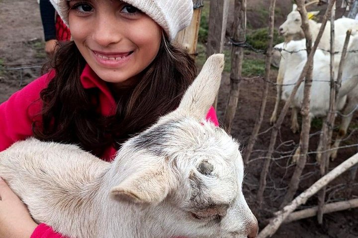 Cajon del Maipo/Embalse del Yeso, Tradition Folk Picnic included
