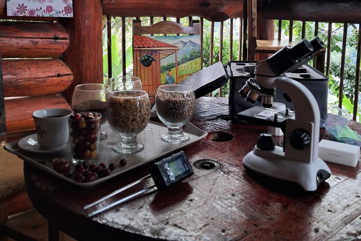 Agroecological coffee farm experience