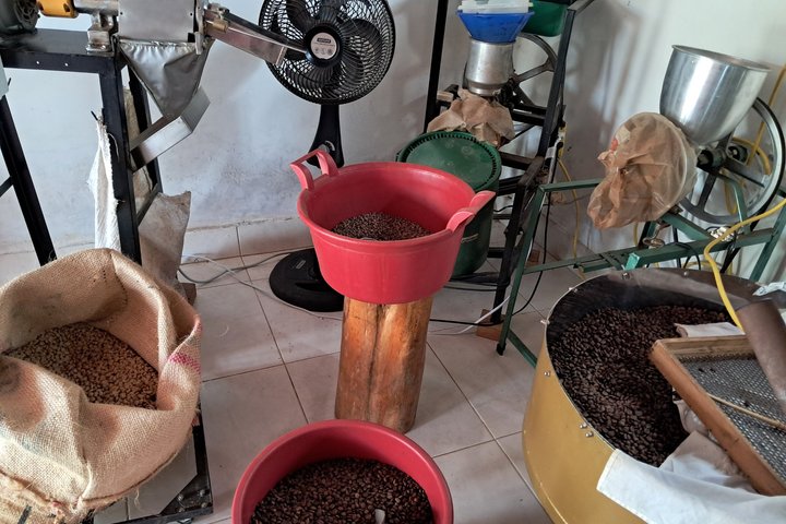 Agroecological coffee farm experience