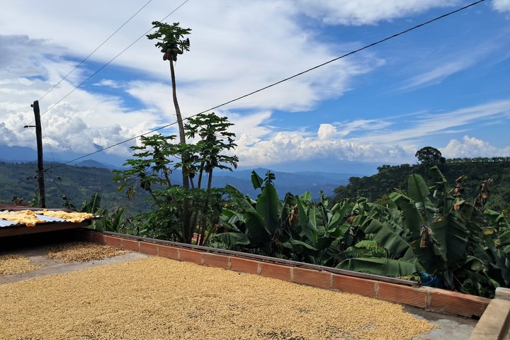 Agroecological coffee farm experience