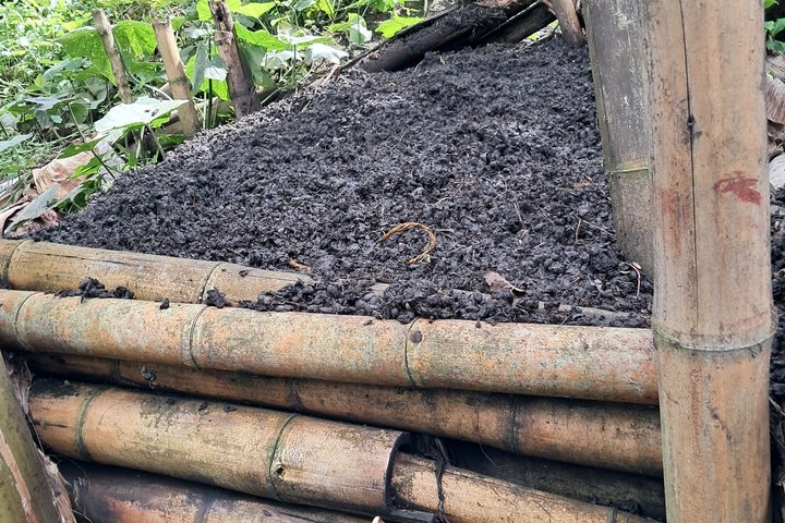 Agroecological coffee farm experience