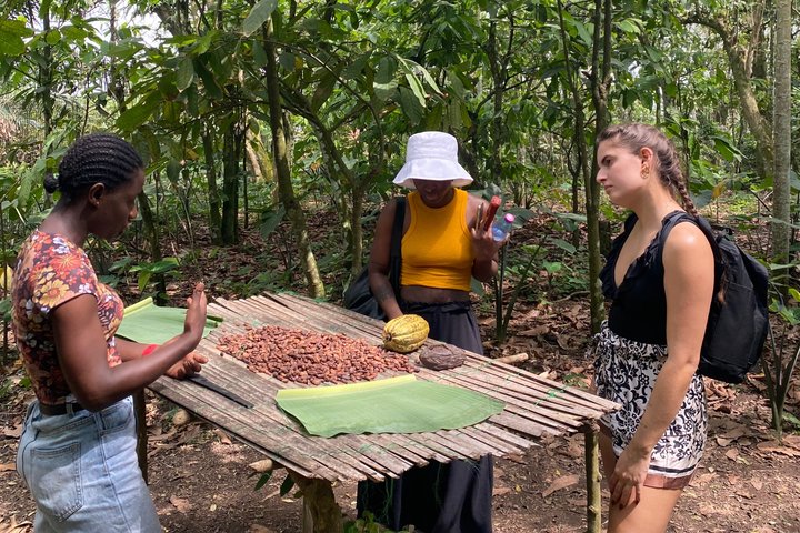 Aburi Gardens,First Ever Cocoa Farm & Waterfalls Day Adventure