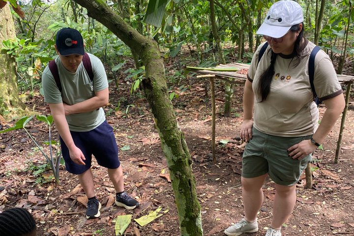 Aburi Gardens,First Ever Cocoa Farm & Waterfalls Day Adventure
