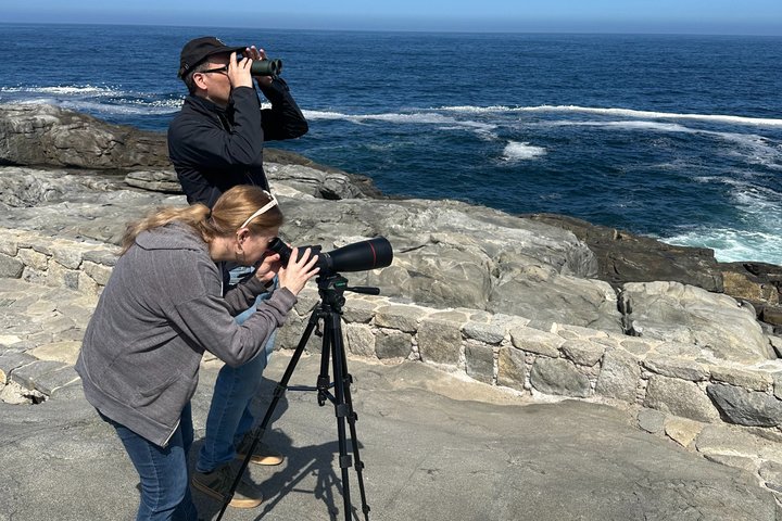 Zapallar Hiking and Bird Watching Penguin Island From Valparaíso