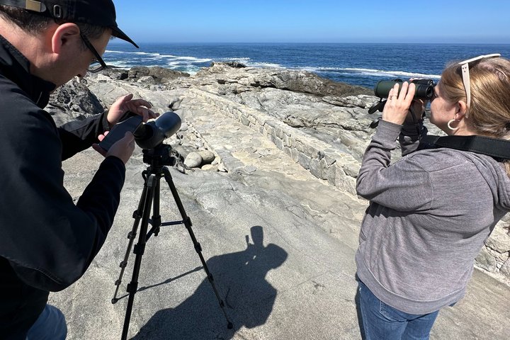 Zapallar Hiking and Bird Watching Penguin Island From Valparaíso