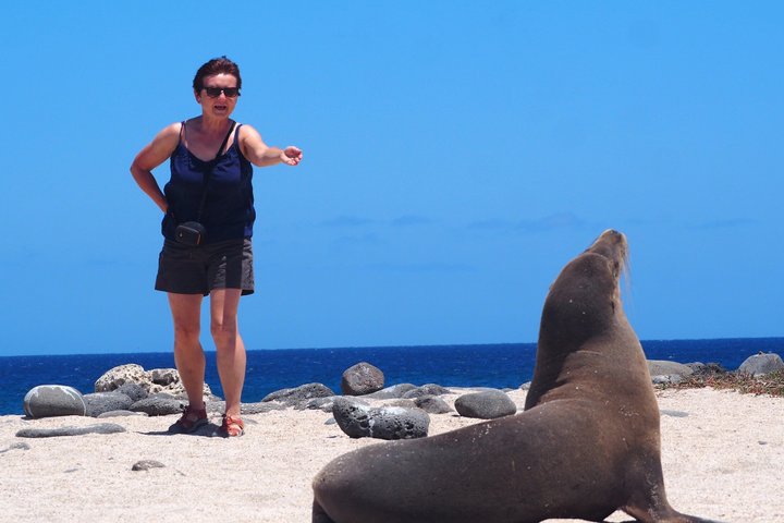North Seymour Island Day Tour