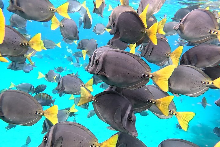 North Seymour Island Day Tour