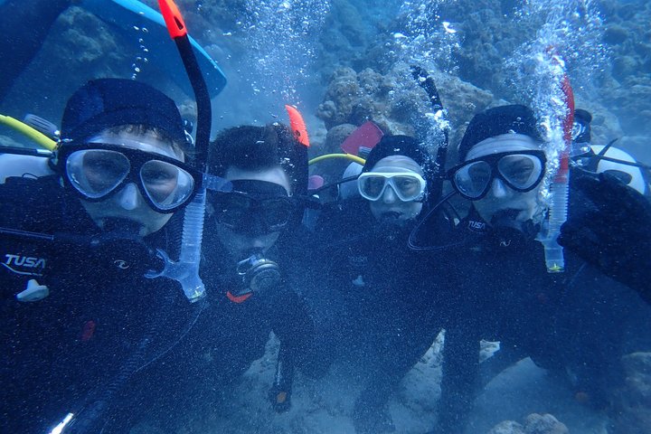 Diving experience on Ishigaki Island - including equipment rental - Shower available - Photo gift -