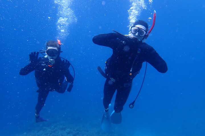Diving experience on Ishigaki Island - including equipment rental - Shower available - Photo gift -