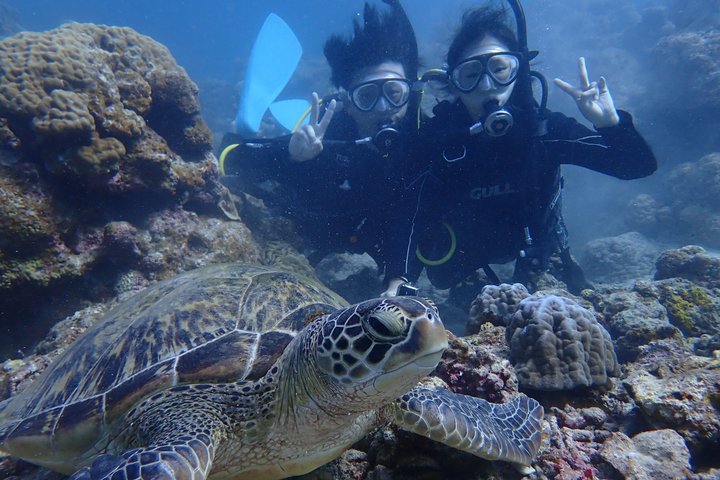 Diving experience on Ishigaki Island - including equipment rental - Shower available - Photo gift -