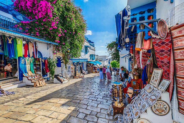 Tunis,Carthage&Sidi Bou Said:Premium Private Day Tour with Pickup