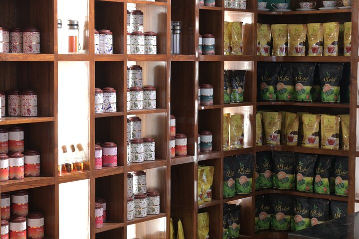 Guwahati Tea Garden Tour with Lunch (Premium Experience)