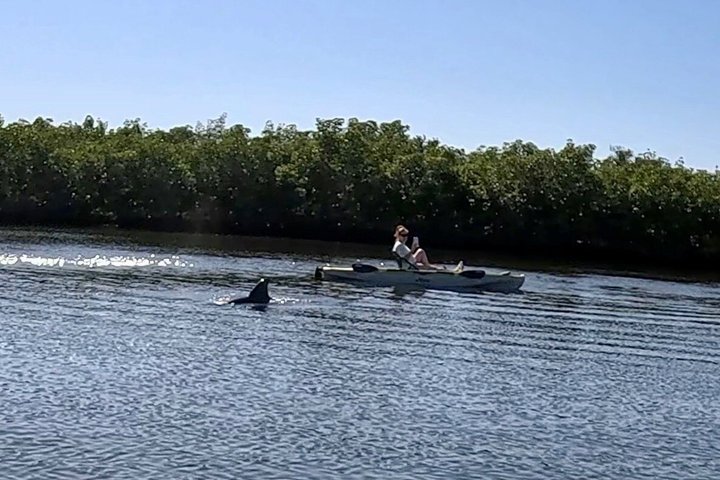 Kickin’ Kayaks Morning Wildlife Tour