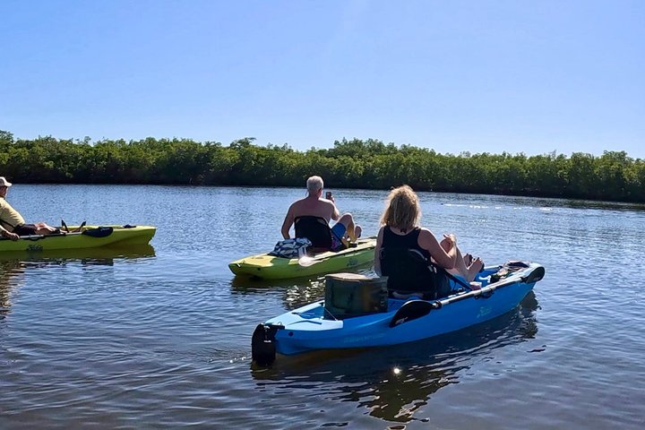 Kickin’ Kayaks Morning Wildlife Tour