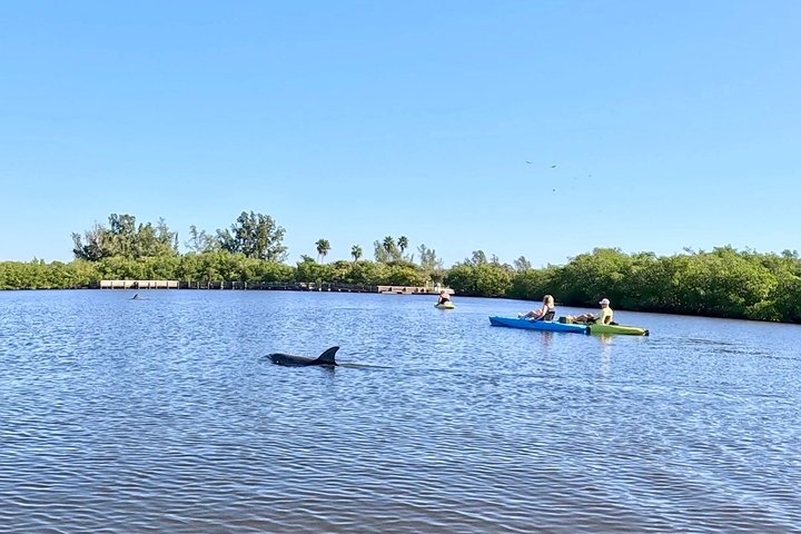 Kickin’ Kayaks Morning Wildlife Tour