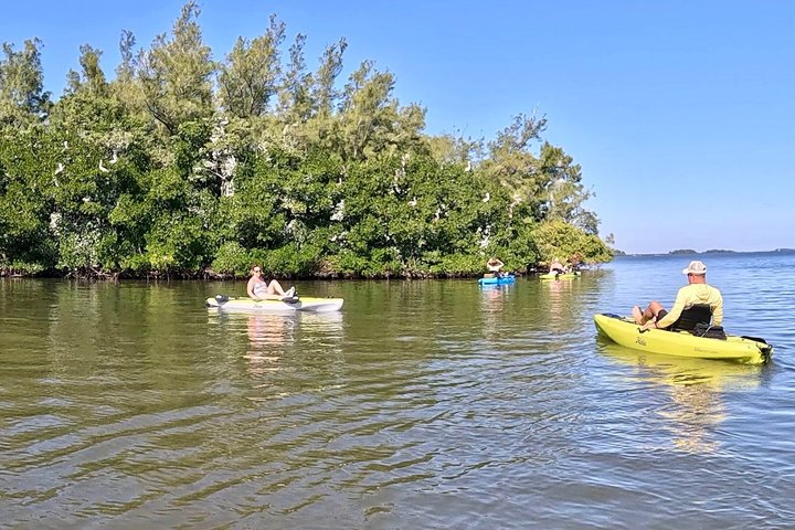 Kickin’ Kayaks Morning Wildlife Tour
