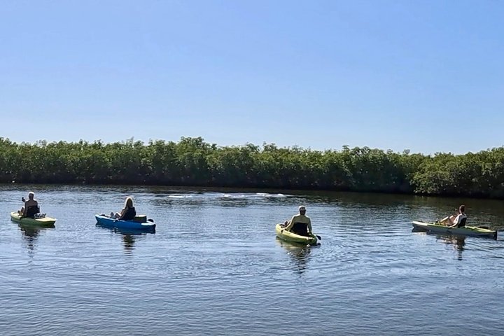 Kickin’ Kayaks Morning Wildlife Tour