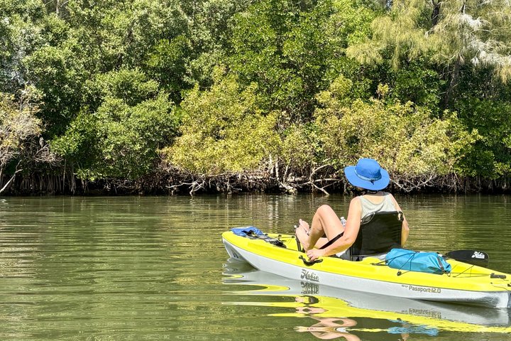Kickin’ Kayaks Morning Wildlife Tour