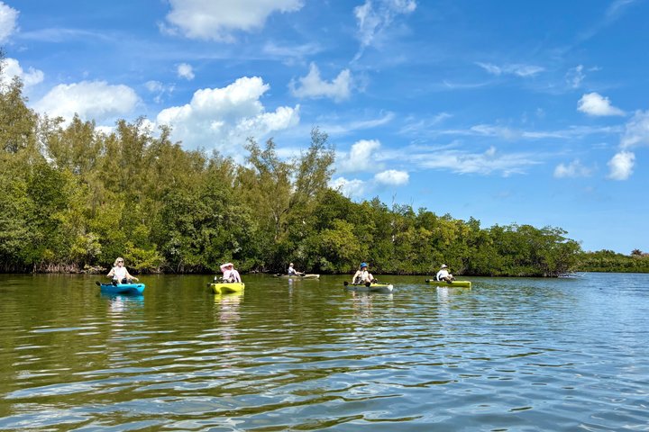 Kickin’ Kayaks Morning Wildlife Tour