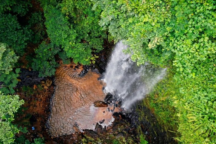 From Accra: Waterfalls, Aburi Gardens & Cocoa Farm Day Tour