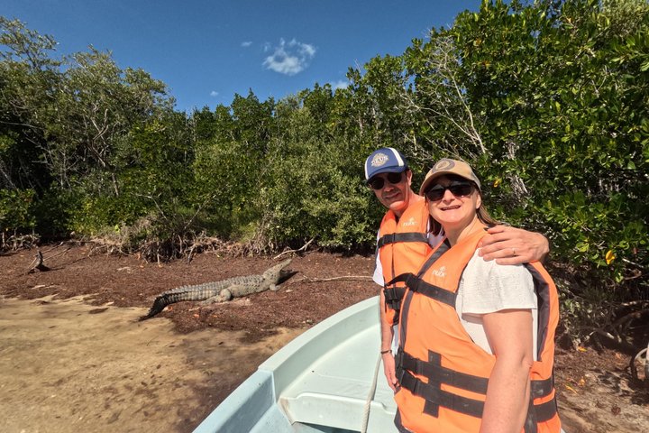 Nature Tour in Rio Lizards: Crocodiles and Flamingos