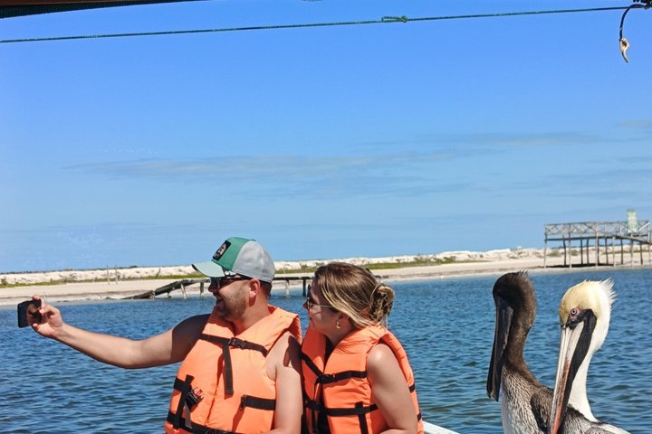 Nature Tour in Rio Lizards: Crocodiles and Flamingos