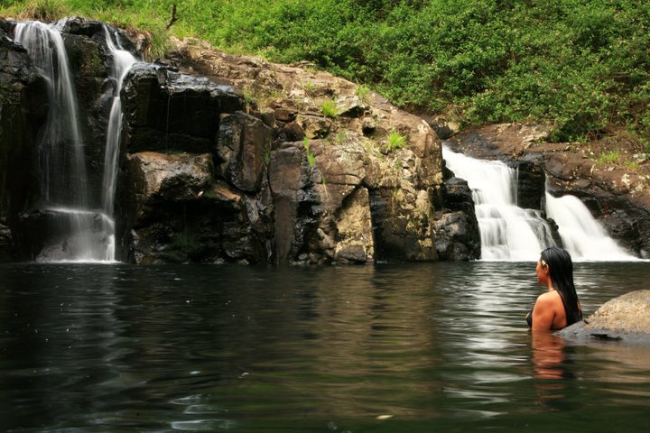 Glow-worms, Waterfalls & Rainforest Experience