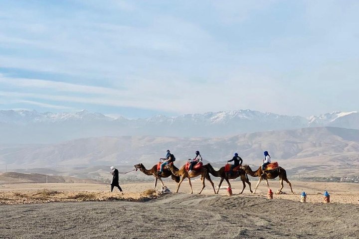Marrakech Desert Agafay Quad & Camel with Lunch & swimming pool