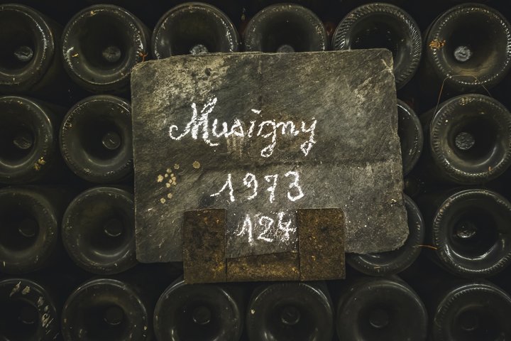 Prestigious Wine Tour in Côte de Nuits