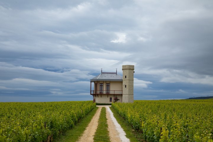 Prestigious Wine Tour in Côte de Nuits