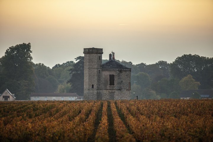 Prestigious Wine Tour in Côte de Nuits