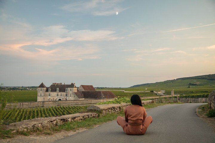 Prestigious Wine Tour in Côte de Nuits