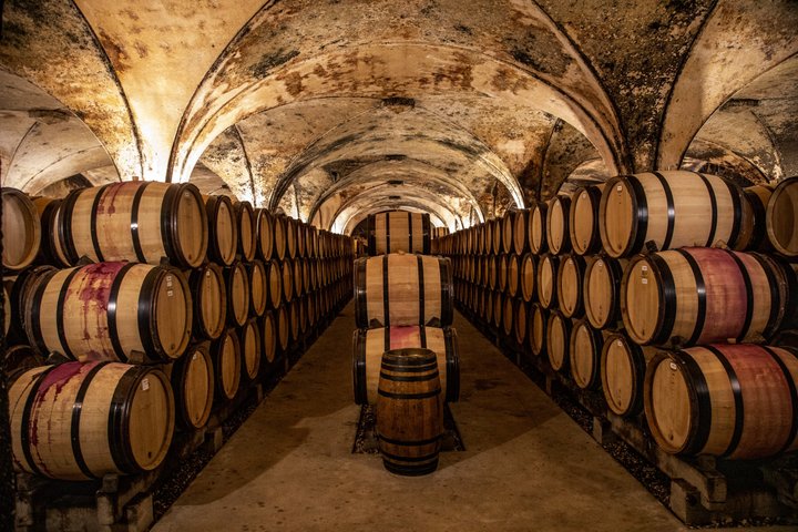 Prestigious Wine Tour in Côte de Beaune