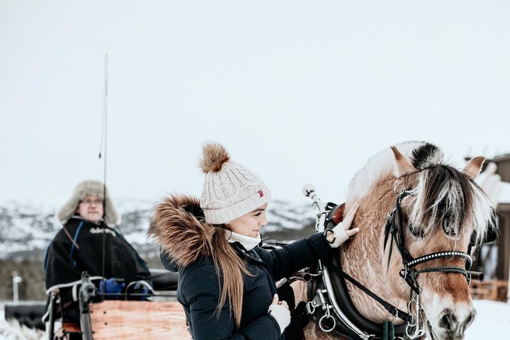 Sleigh or wagon ride in the arctic Country side
