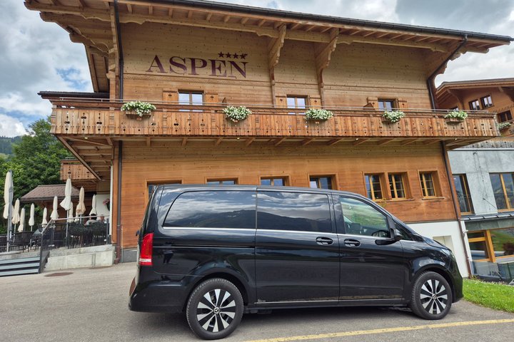Private Day Trip from Konstanz to Zurich and Rhine Falls