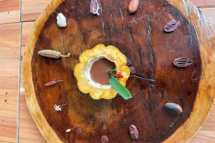 Hacienda CacaoyMango, Gastronomy, Cacao, and Chocolate Factory