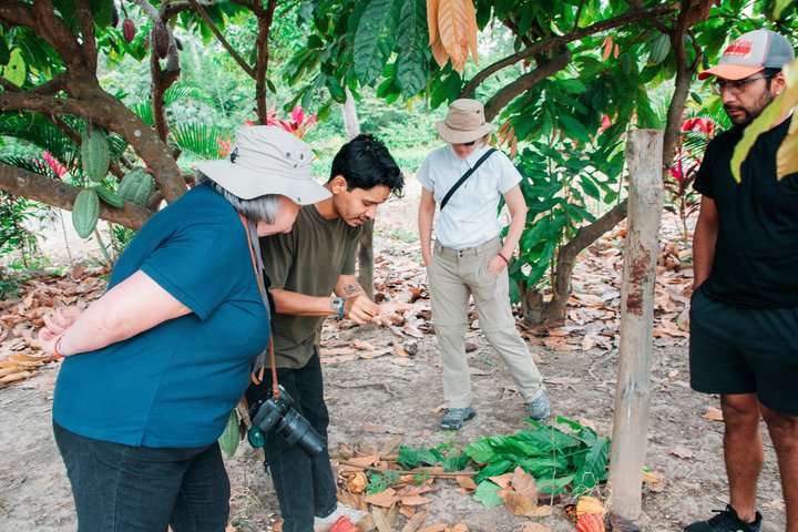 Hacienda CacaoyMango, Gastronomy, Cacao, and Chocolate Factory