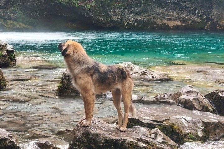 One Day Tour in Theth National Park and Grunas Waterfall