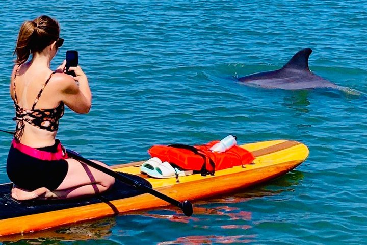 Daytona Beach Dolphin & Manatee Tour – Paddleboard or Kayak