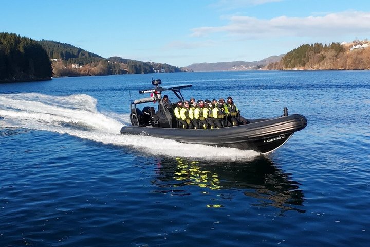 Bergen: Mostraumen Fjord Safari - by Premium RIB Boat