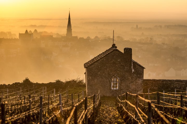 Prestigious Wine Tour in Côte de Beaune
