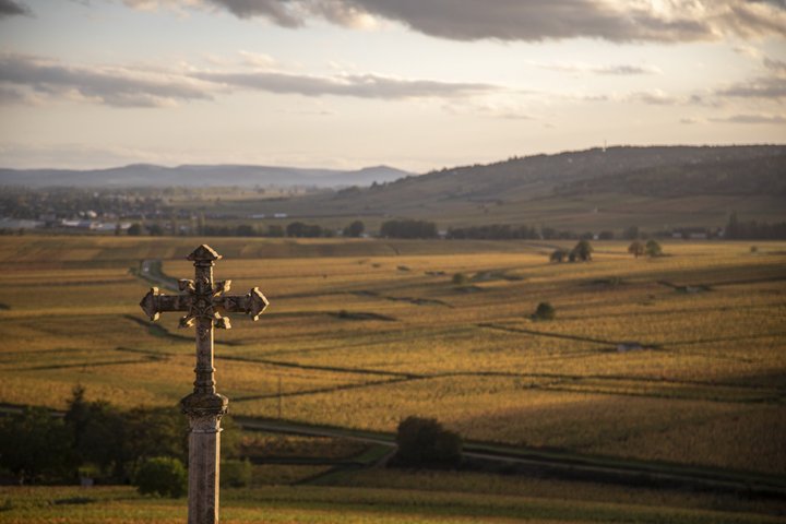 Prestigious Wine Tour in Côte de Beaune