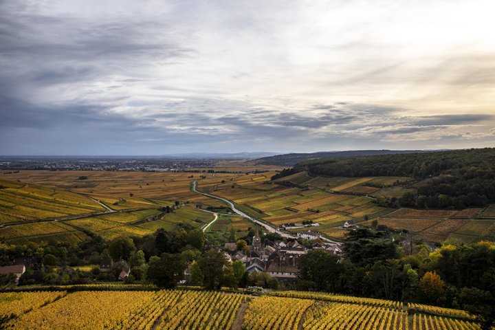 Prestigious Wine Tour in Côte de Beaune
