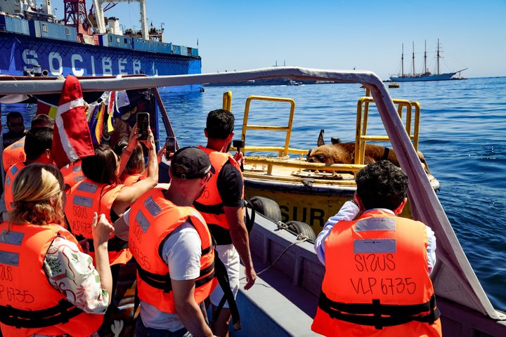 Explore Valparaíso and Viña del Mar Tour