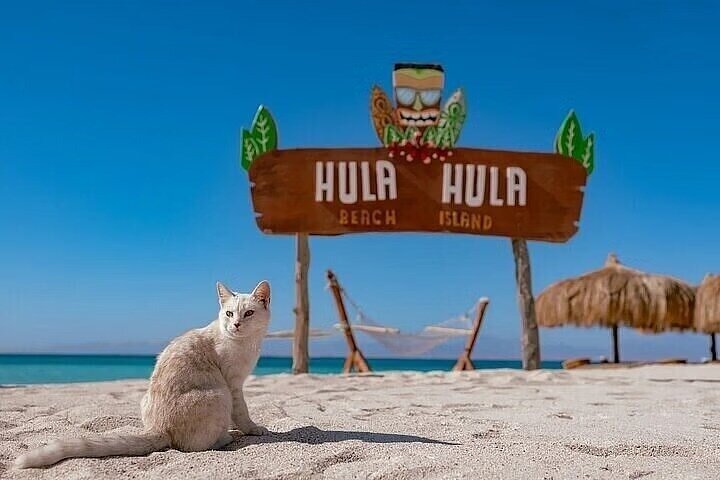 Luxury Cruise To Orange Bay and Hula Hula island & Lunch-Hurghada