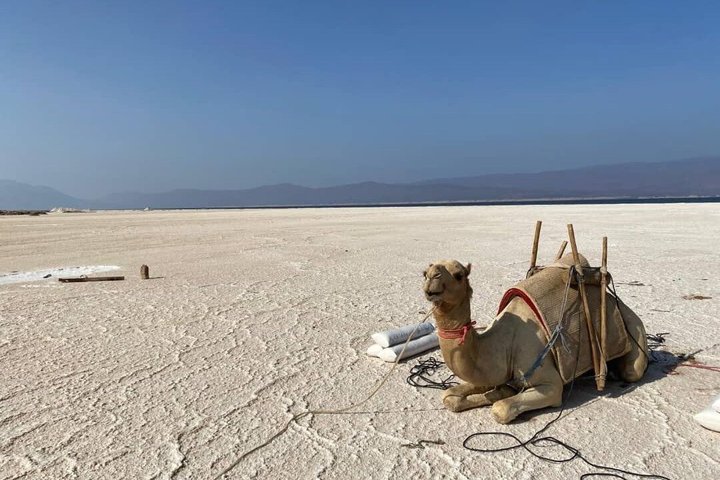 Two-day trips Abbot Lake and Assal Lake
