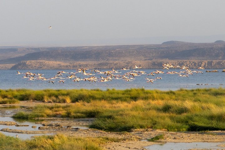 Two-day trips Abbot Lake and Assal Lake