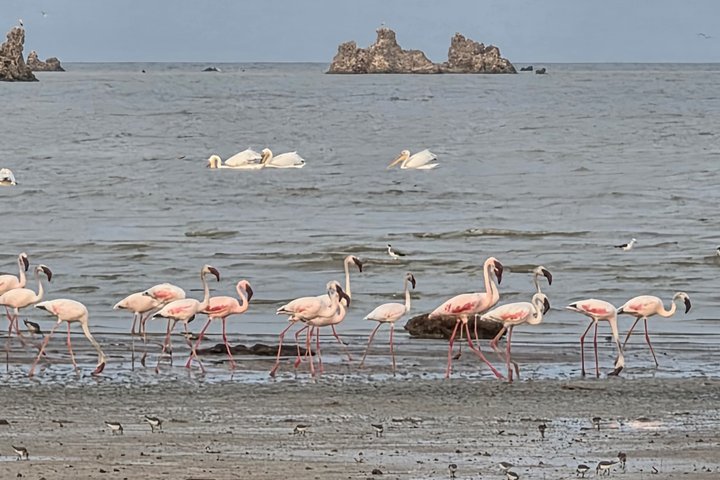 Two-day trips Abbot Lake and Assal Lake