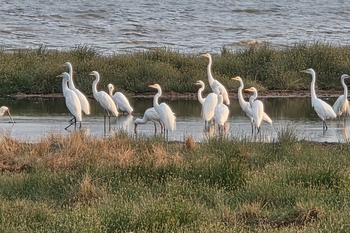 Two-day trips Abbot Lake and Assal Lake